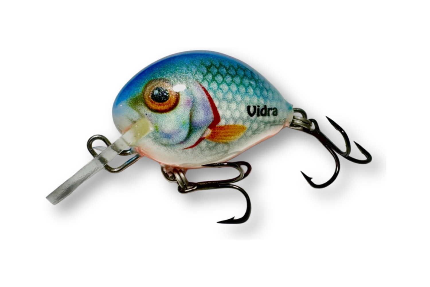 Atomic Chub 2 – BLR