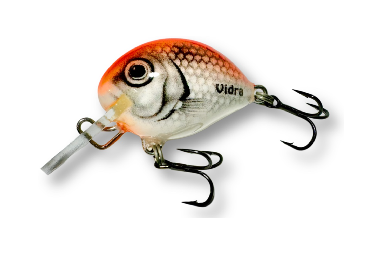 Atomic Chub 2 – SFO
