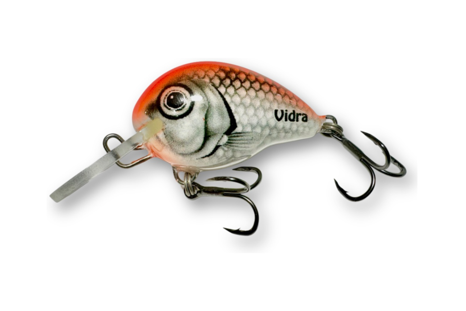 Atomic Chub 3 – SFO