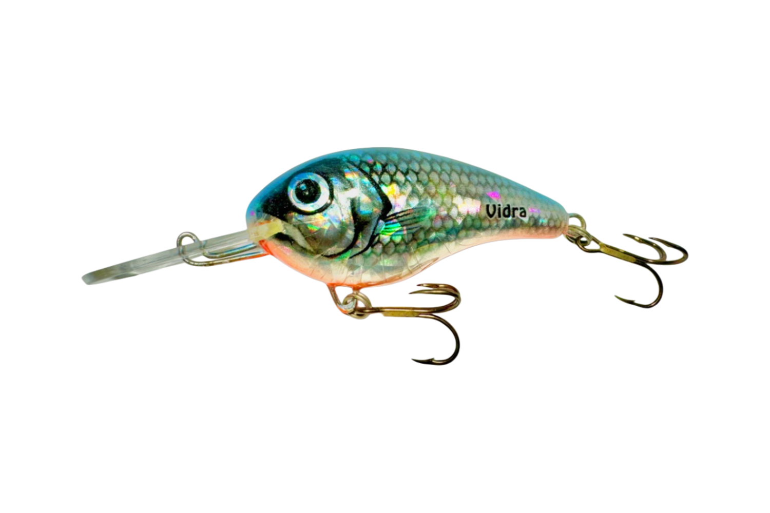 Nautilus DR – BLH