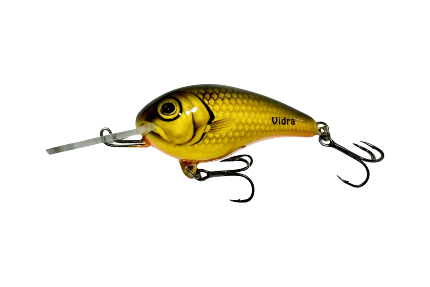 Nautilus DR – GL