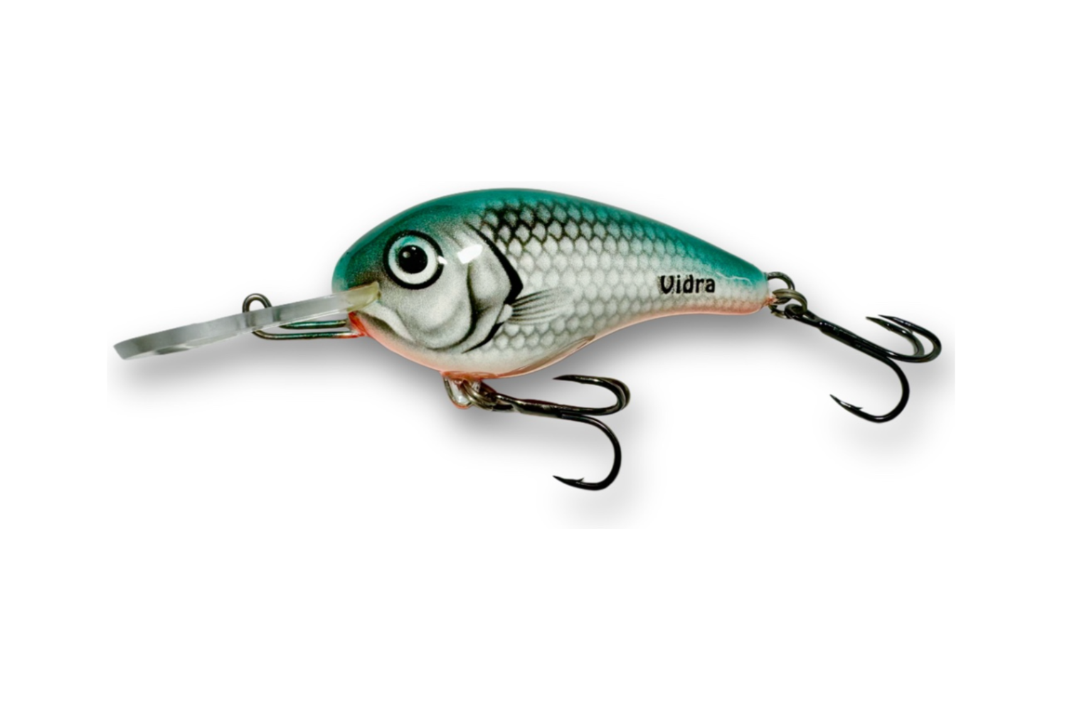 Nautilus DR – GR