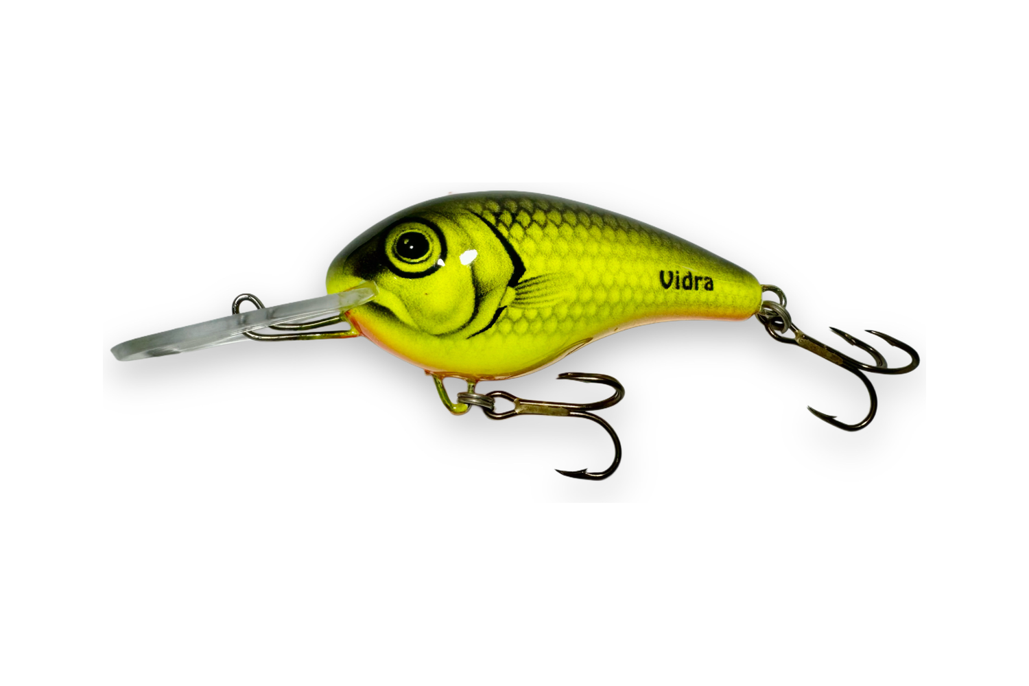 Nautilus DR – LB