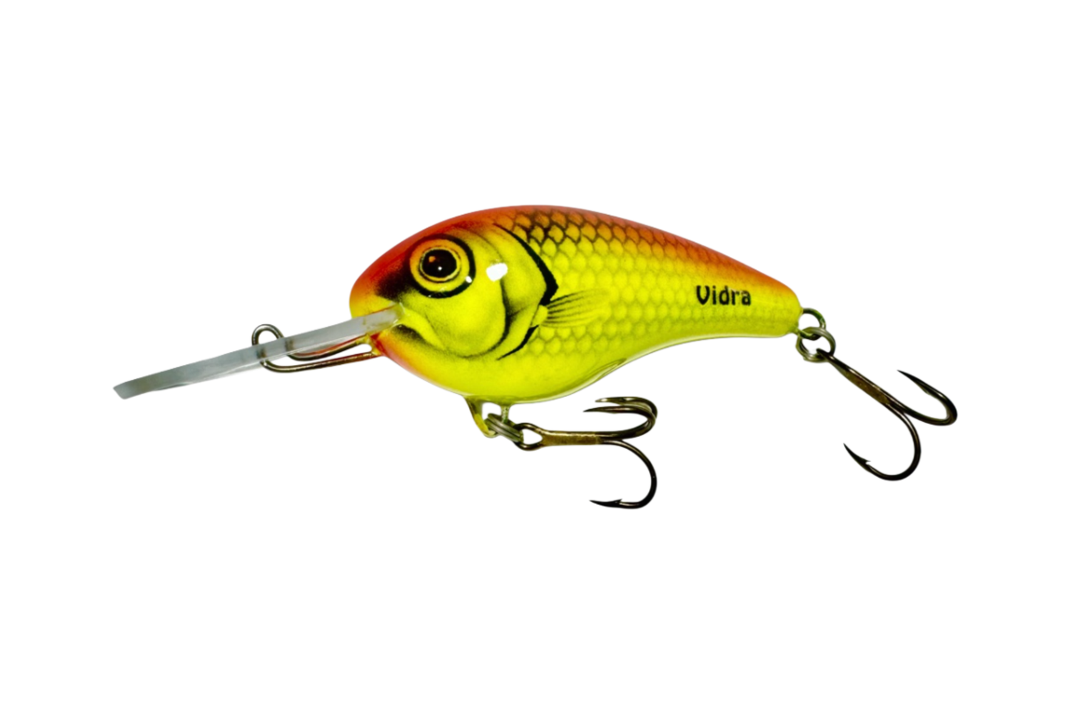 Nautilus DR – LO