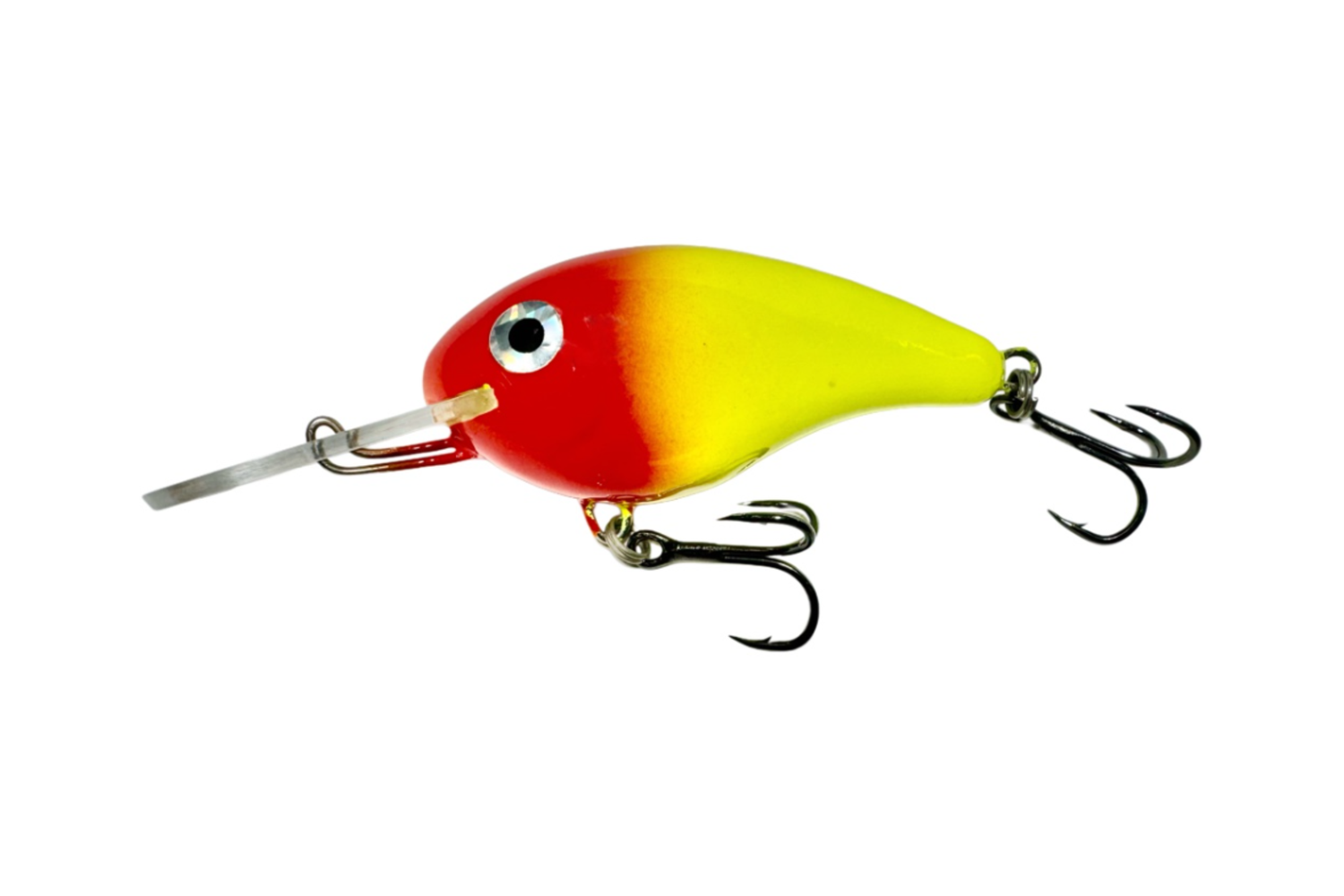 Nautilus DR – RH