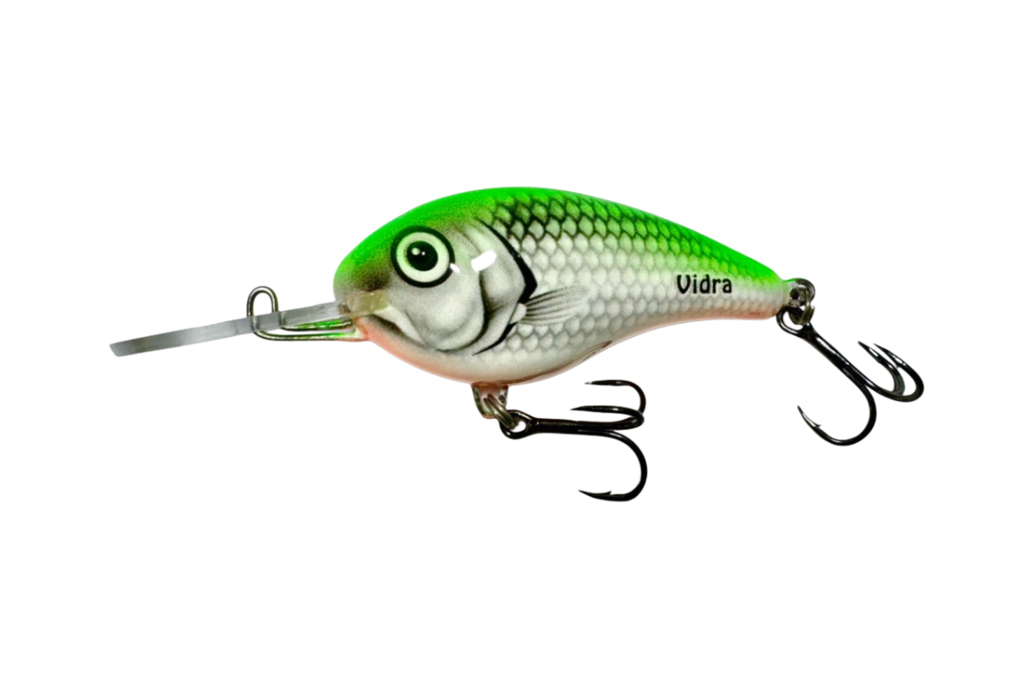 Nautilus DR – SFG